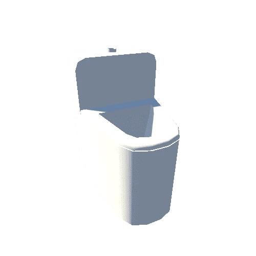 Toilet (1)